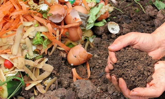 Suroviny, které patří na kompost